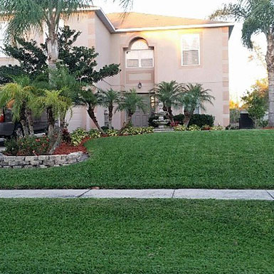 Lawn & Shrub Services