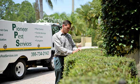 pest services