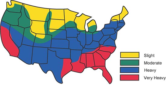 Termite Severity Map